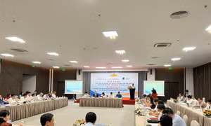 Phát huy mô hình tổ chức đầu tư tài chính chuyên nghiệp 