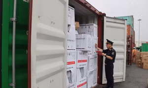 Hải quan Hải Phòng chủ động thực hiện Kế hoạch hội nhập quốc tế của thành phố