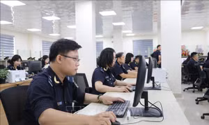 Bãi bỏ 10 thủ tục trong lĩnh vực hải quan, kinh doanh hàng miễn thuế