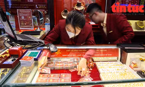 Thanh tra 2 ngân hàng và 4 đơn vị kinh doanh vàng