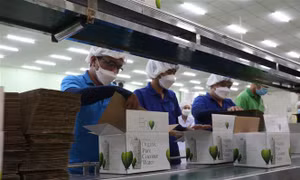 Bước đệm cho tăng trưởng từ giảm 2% thuế VAT