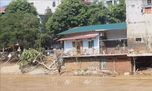 Đà Nẵng chung tay ủng hộ đồng bào vùng bão lũ và nhân dân Cuba