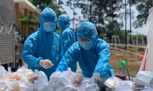 Cộng đồng mạng đồng tình với việc khởi tố vụ án tiếp viên hàng không làm lây lan COVID-19