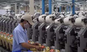 Xuất khẩu trực tuyến thời đại công nghiệp 4.0 còn quá khiêm tốn