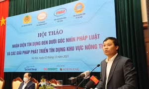‘Tín dụng đen’ có phần giảm, nhưng vẫn diễn biến phức tạp 