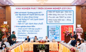  Cung ứng vốn khơi thông nguồn lực cho các tập đoàn kinh tế