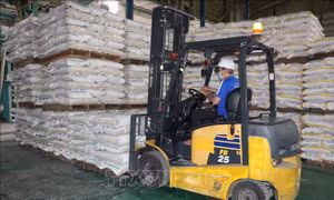 Các tổ chức quốc tế vẫn kỳ vọng vào tăng trưởng kinh tế của Việt Nam 