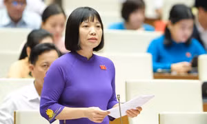 Hai lĩnh vực có nhiều vấn đề được kỳ vọng làm ‘nóng’ tại nghị trường 