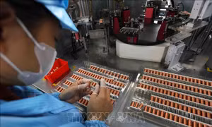 Cơ cấu lại thị trường xuất khẩu, minh bạch chuỗi cung ứng 