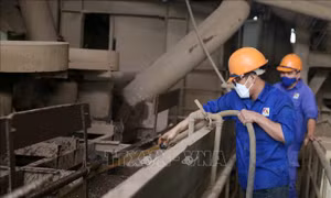 Số doanh nghiệp gia nhập thị trường tiếp xu thế tăng