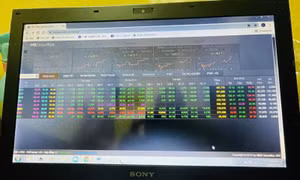 Sắc xanh lan tỏa, VN-Index hồi phục tăng hơn 14 điểm