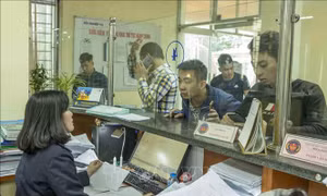 Ngành thuế và hải quan triển khai các chỉ tiêu thu ngân sách nhà nước