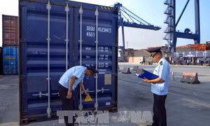Doanh nghiệp nào được lựa chọn tham gia Chương trình hỗ trợ tuân thủ pháp luật hải quan?