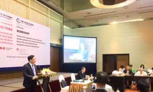 Cần 'bình đẳng hóa' quyền và nghĩa vụ của đại diện chủ sở hữu vốn nhà nước