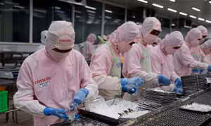 HSBC: Lần đầu tiên trong 2 năm, xuất khẩu Việt Nam có dấu hiệu giảm tốc