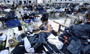 EU đóng cửa biên giới ảnh hưởng tới lưu thông hàng hóa ra sao?