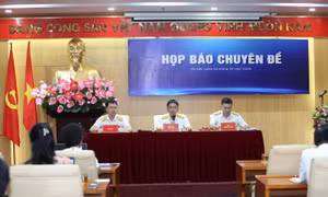 Gấp rút giải pháp ‘nộp nợ thuế ngay tại sân bay, cửa khẩu là có thể được xuất cảnh’’ 