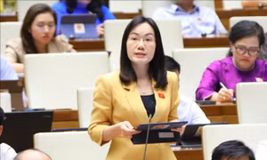 Cử tri chất vấn việc ô nhiễm sông Cầu kéo dài vẫn chưa được giải quyết hiệu quả