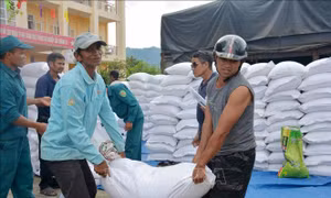Giám sát chặt việc bảo quản hàng dự trữ Quốc gia