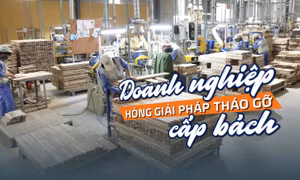Tin tức TV: Doanh nghiệp 'hóng' giải pháp tháo gỡ cấp bách