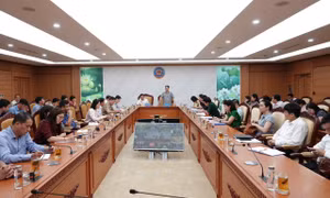 Đẩy mạnh phân cấp, phân quyền trong quản lý, sử dụng tài sản công