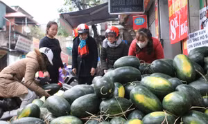Ảnh hưởng dịch nCoV: Ngân hàng giảm lãi vay, tái cơ cấu nợ cho doanh nghiệp
