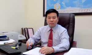 Đấu thầu lại mua gạo dự trữ quốc gia