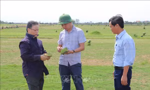 Khơi thông điểm nghẽn đang kìm hãm tín dụng xanh 