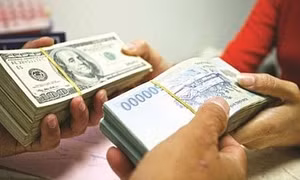 Quản lý và sử dụng viện trợ phải đúng để chống rửa tiền, trốn thuế