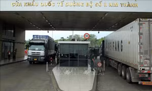 Thu ngân sách từ xuất nhập khẩu tăng 12,7%