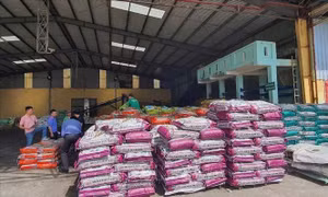 Hình phạt cho vợ chồng doanh nhân sản xuất phân bón giả? 