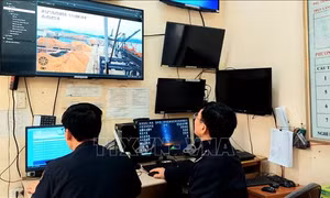  Số hóa toàn bộ hồ sơ để thông quan nhanh hàng hóa 