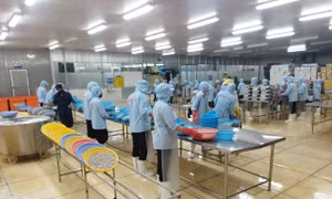 Chuyển hướng hỗ trợ doanh nghiệp phục hồi
