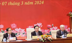 Sớm đưa chính sách vào cuộc sống, có hiệu lực sớm hơn so với quy định chung của luật
