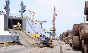 Miễn giảm thuế cho người dân, doanh nghiệp bị thiệt hại bởi bão số 3 Yagi