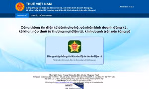 Vận hành Cổng thông tin điện tử cho hộ cá nhân kinh doanh nộp thuế online 