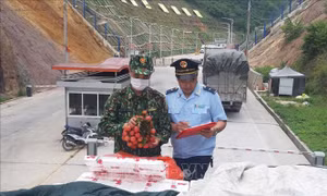 Nêu gương trách nhiệm người đứng đầu, siết chặt kỷ luật trong ngành Tài chính