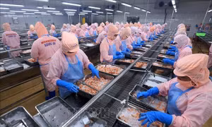 Không để ngắt quãng việc khi tinh gọn, Hải quan giải quyết 'thách thức kép'