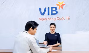 Tổng tài sản VIB vượt nửa triệu tỷ đồng sau 6 tháng