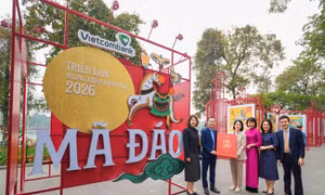 Vietcombank phối hợp với UBND phường Hoàn Kiếm tổ chức Triển lãm tranh 'Mã Đáo' mừng Xuân