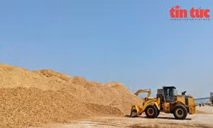 Rà lại quy định, giảm lượng doanh nghiệp phải kiểm trước, hoàn thuế sau 