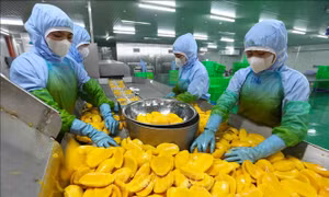 Nỗ lực tháo gỡ 'điểm nghẽn', nền kinh tế được kỳ vọng về đích năm 2025 