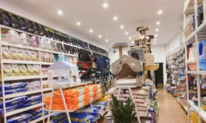 Nuôi mèo cũng lắm công phu
