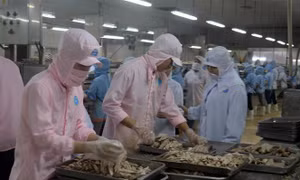 Thay đổi mô hình phòng chống dịch, thời gian ‘vàng’ cứu doanh nghiệp