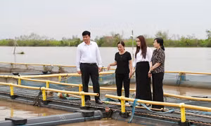 Ngân hàng giảm lãi vay cho nông, ngư dân bị ảnh hưởng bởi bão số 3 Yagi