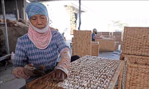 Đề xuất sửa mức doanh thu chịu thuế với thu nhập của hộ, cá nhân kinh doanh 