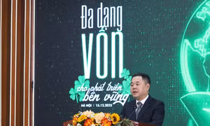Nhu cầu vốn xanh lên tới 700 tỷ USD, ngân hàng cần sự "hợp lực" của thị trường vốn 