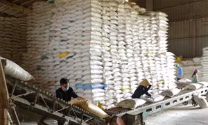 Linh hoạt các giải pháp, dựa vào nội lực để GDP năm 2023 tăng tốt 