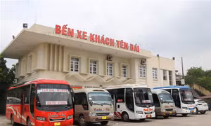 Áp lực xăng dầu, nhiều doanh nghiệp phải tăng giá cước 
