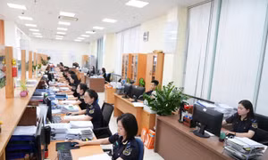 Tiến tới thủ tục hải quan phi giấy tờ theo tinh thần Nghị quyết số 57 